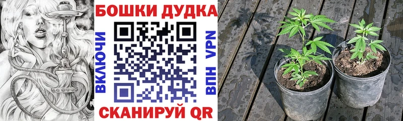 Вейп ТГК Тотьма