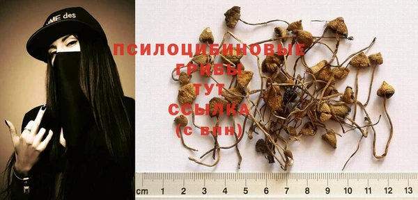 прущий лед Абаза